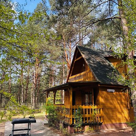 Lesniczowka Villa Rzadza Exterior foto
